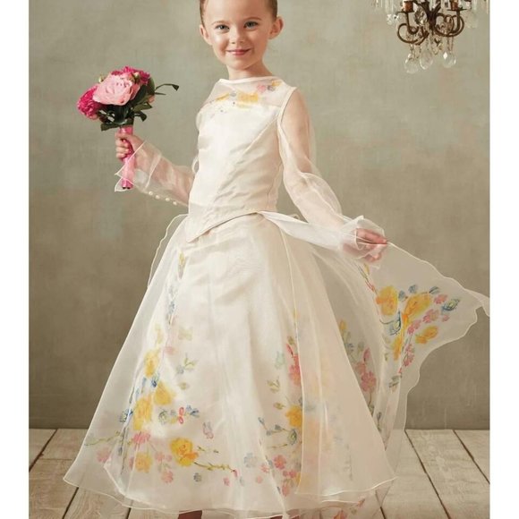 Chasing Fireflies, 4Y, l/s Cinderella ball gown - Picture 1 of 4